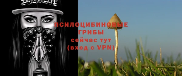 стаф Алексеевка